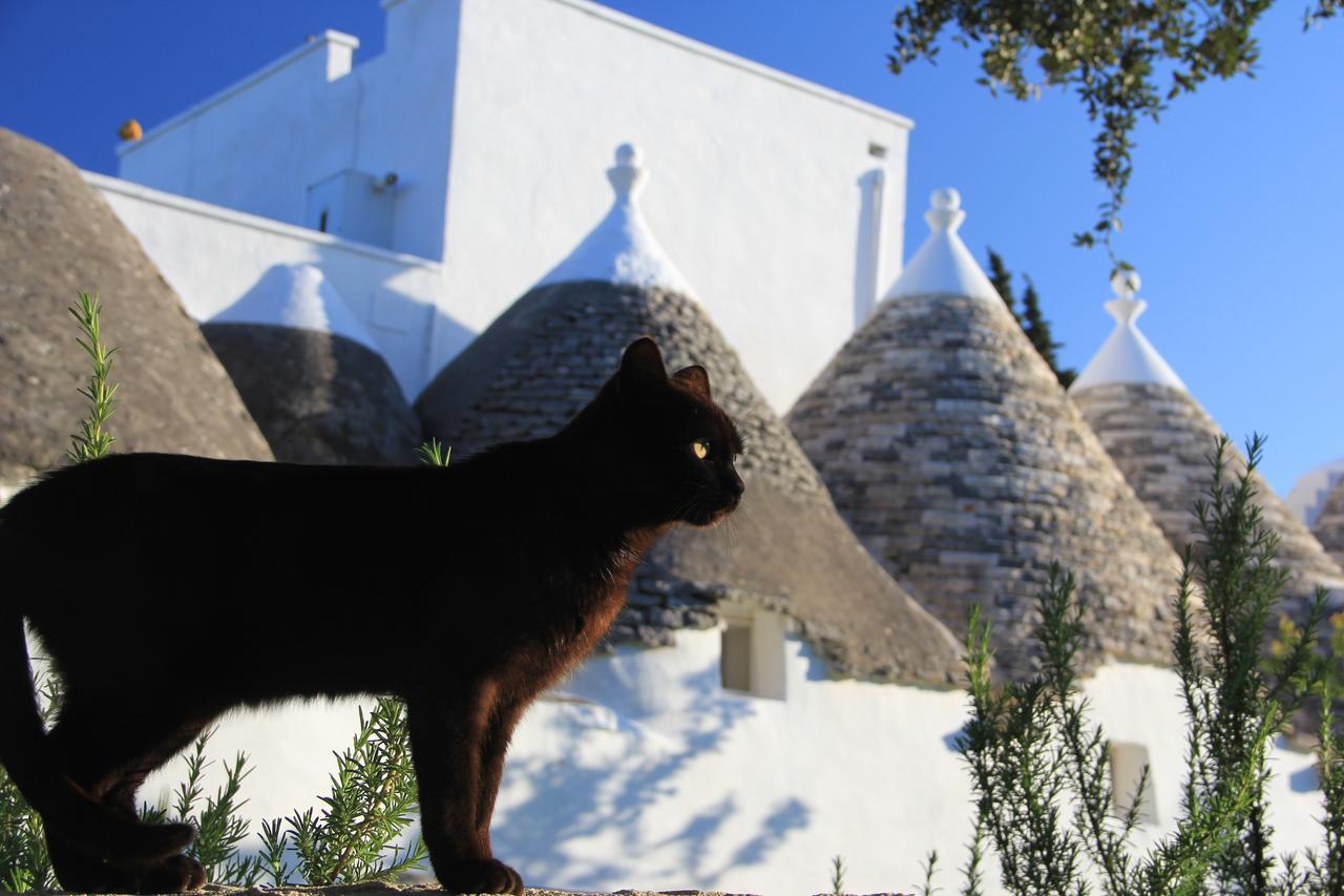 Masseria Trulli Sull'Aia 치스테르니노 외부 사진